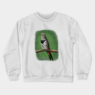 Northern Flicker Crewneck Sweatshirt